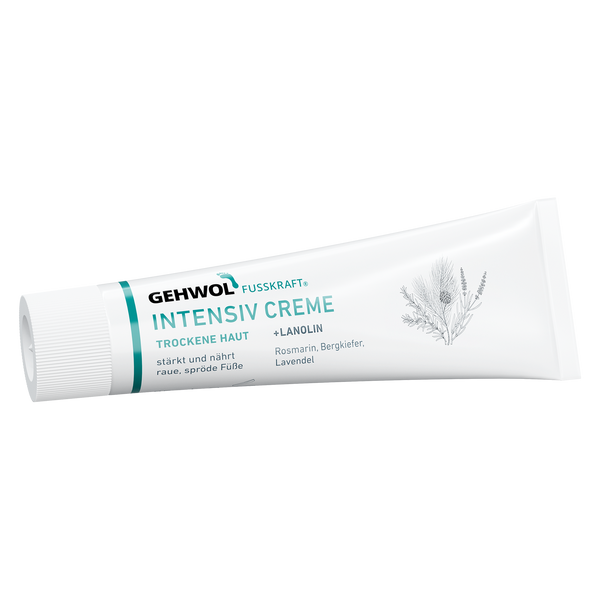 Блакитний бальзам для ніг Fusskraft Intensive Cream Gehwol 125 мл 1*10207 фото